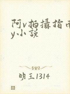 阿v拍摄指南by小说