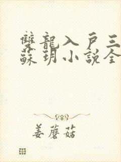 双龙入户三人行苏玥小说全文阅读