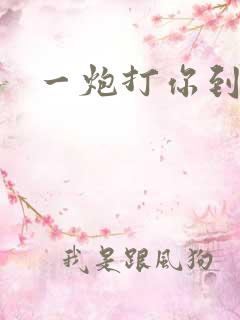 一炮打你到天亮