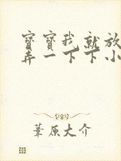 宝宝我就放进去弄一下下小说