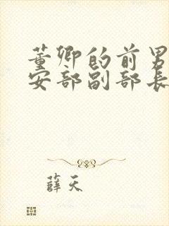 董卿的前男友公安部副部长