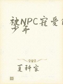 被NPC宠爱的少年