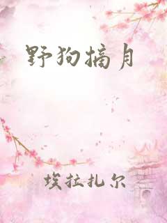 野狗摘月