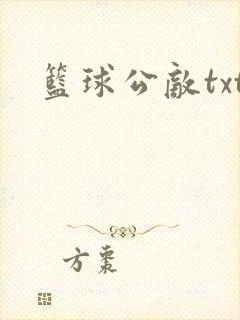 篮球公敌txt