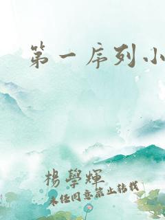 第一序列小说