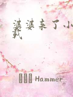 婆婆来了小说下载