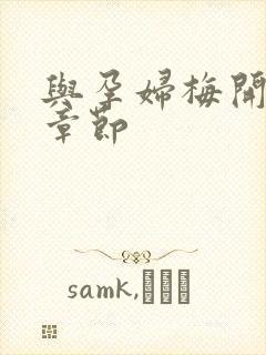 与孕妇梅开三度章节