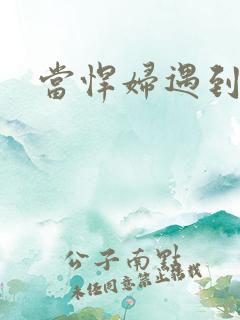 当悍妇遇到孝子