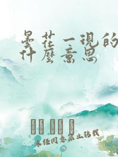 昙花一现的现是什么意思