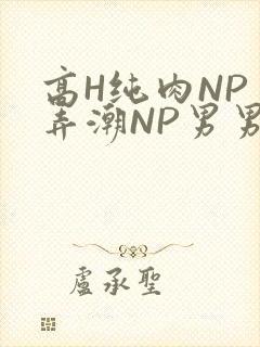 高H纯肉NP 弄潮NP男男