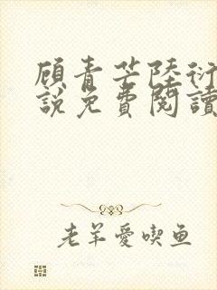 顾青芒陆衍牧小说免费阅读