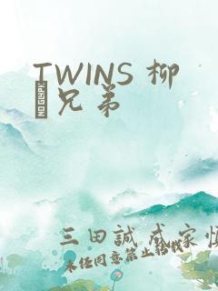 TWINS 柳澤兄弟