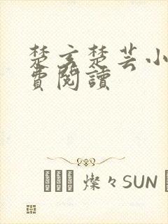 楚玄楚芸小说免费阅读