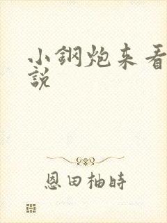 小钢炮来看我小说