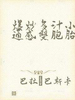 爆炒多汁小美人通感双胞胎