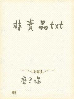非卖品txt