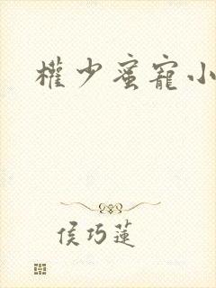 权少蜜宠小娇妻