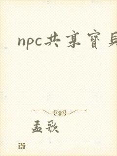 npc共享宝贝