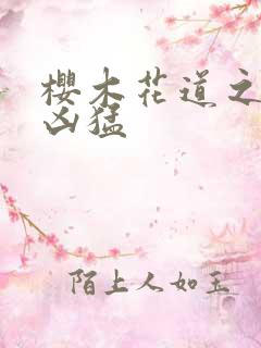 樱木花道之重生凶猛