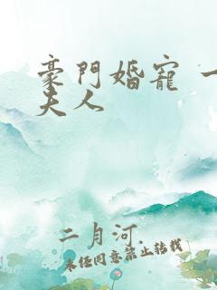 豪门婚宠 一品夫人