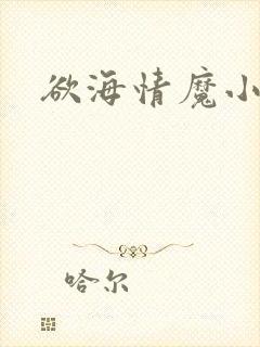 欲海情魔小说