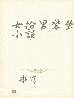 女扮男装坐江山小说