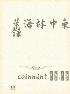 叶海林中东风云录