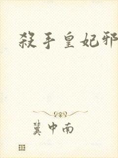 杀手皇妃邪魅帝