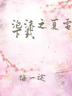 泡沫之夏电视剧下载