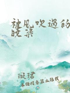 被风吹过的夏天晓渠