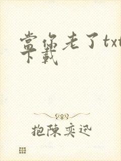 当你老了txt下载