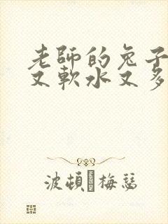 老师的兔子又大又软水又多