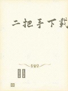 二把手下载