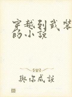 穿越到武装少女的小说