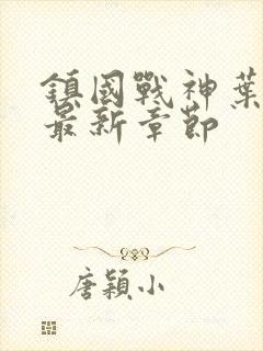 镇国战神叶君临最新章节