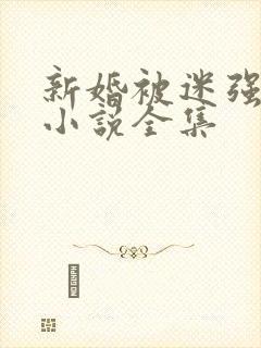 新婚被迷强系列小说全集
