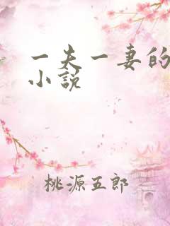 一夫一妻的玄幻小说