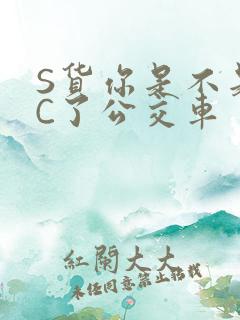 S货你是不是欠C了公交车