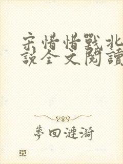 宋惜惜战北望小说全文阅读