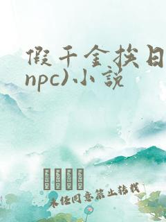 假千金挨日记(npc)小说