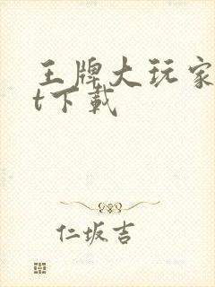 王牌大玩家txt下载