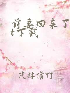 前妻回来了txt下载