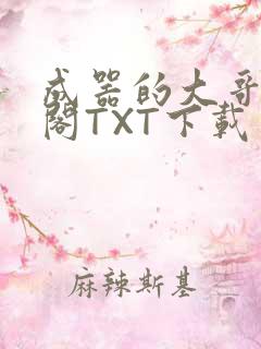 成器的大哥笔趣阁TXT下载
