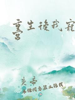 重生后我宠冠东宫