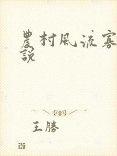 农村风流寡妇小说