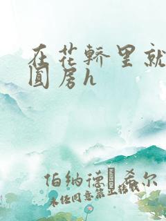 在花轿里就开始圆房h