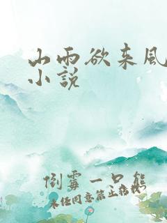 山雨欲来风满楼小说