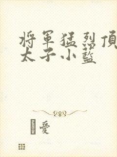 将军猛烈顶弄h太子小蓝