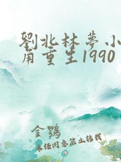 刘北林梦小说主角重生1990