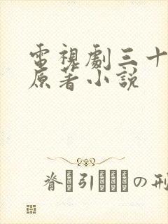 电视剧三十而已原著小说